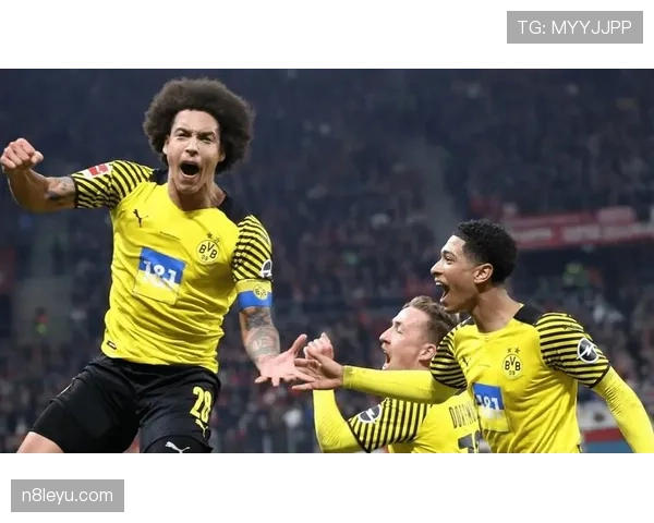 哈兰德绝杀决赛，助球队夺冠表现稳健，续写辉煌历史