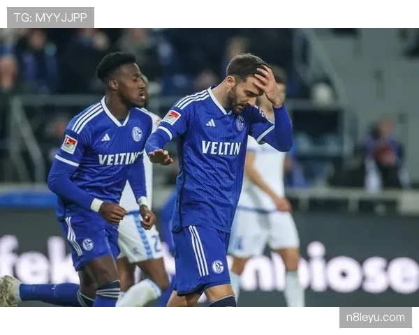 沙尔克球员表现