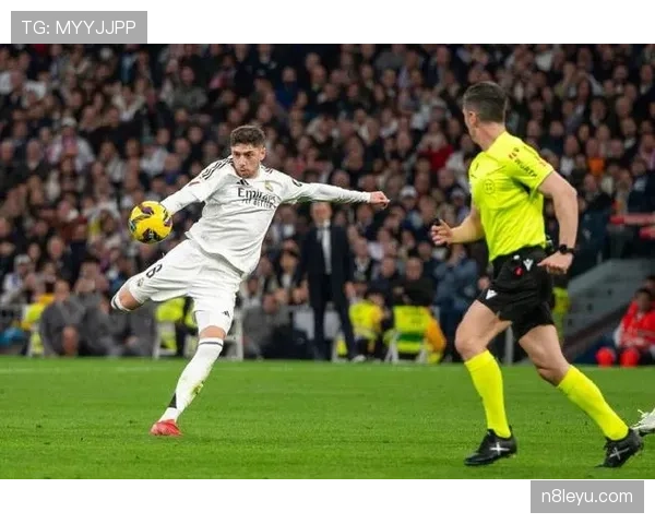 巴尔韦德B2B全能覆盖解析