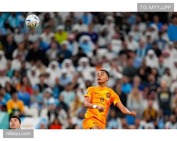 恩佐·费尔南德斯的世界杯冠军是否为其生涯最高荣誉 恩佐·费尔南德斯的世界杯冠军是否为其生涯最高荣誉